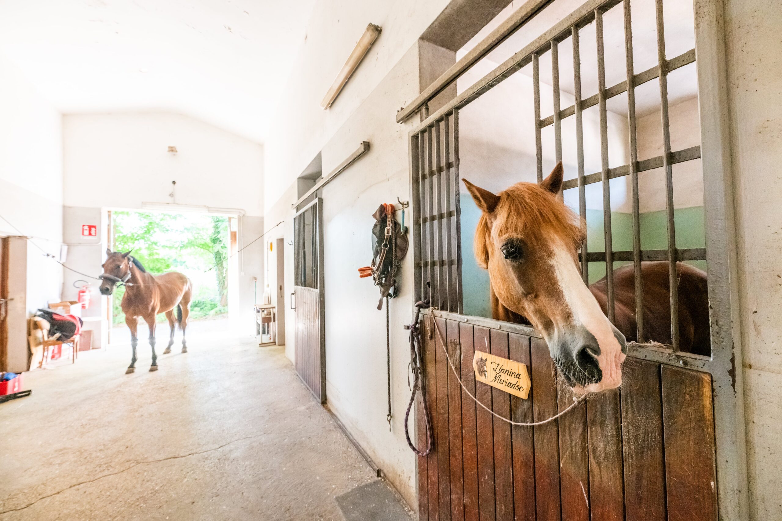 20210709_maretiaris_lastaccionata_027_LV-min