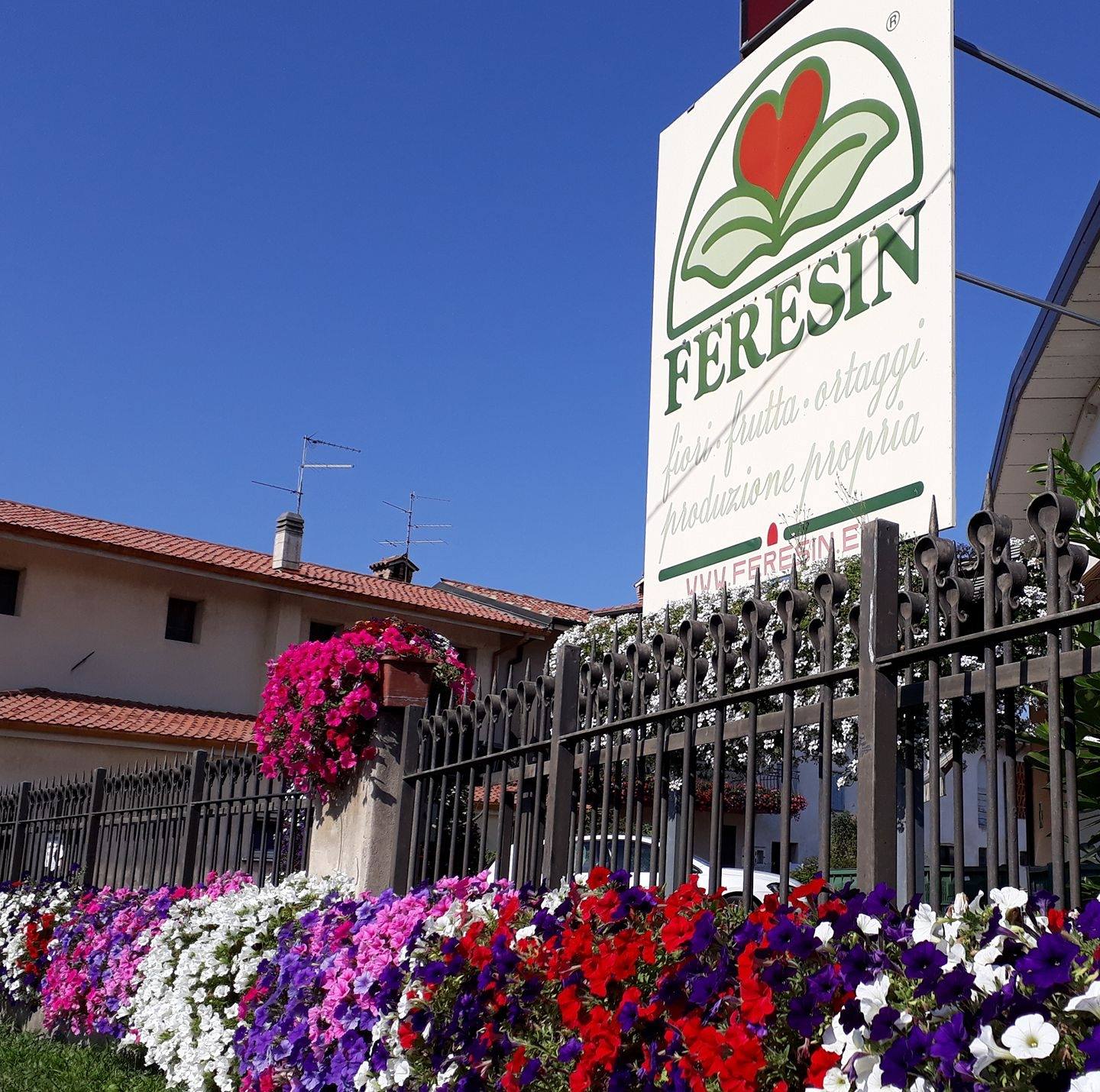 340630047_1449491372555133_1999173332698026927_n