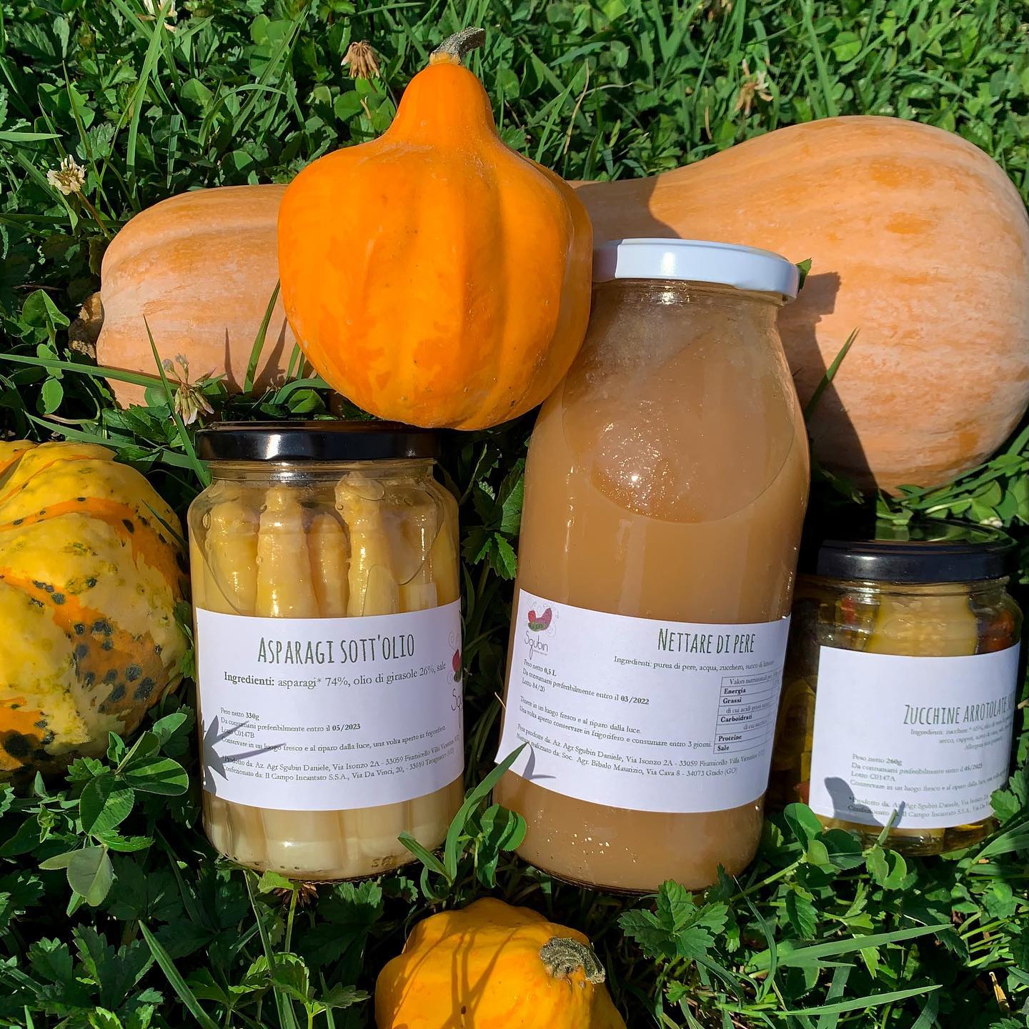 469168236_1619880138614795_665199528833701896_n