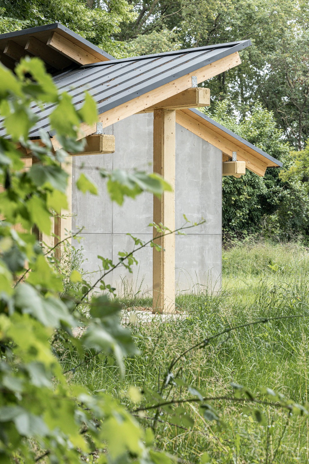 WhatsApp Image 2025-09-16 at 10.36.22